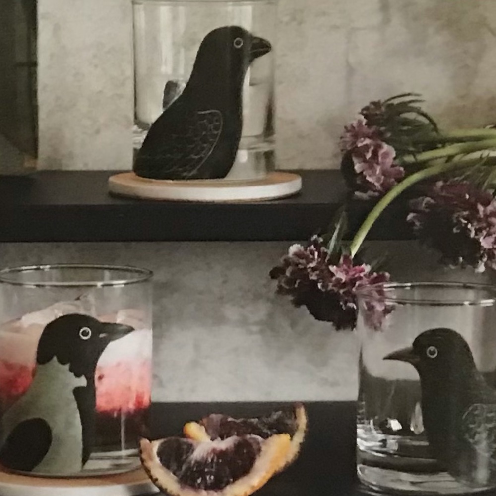 4 Pack Bird Midnight Dreary John Derian Threshold
